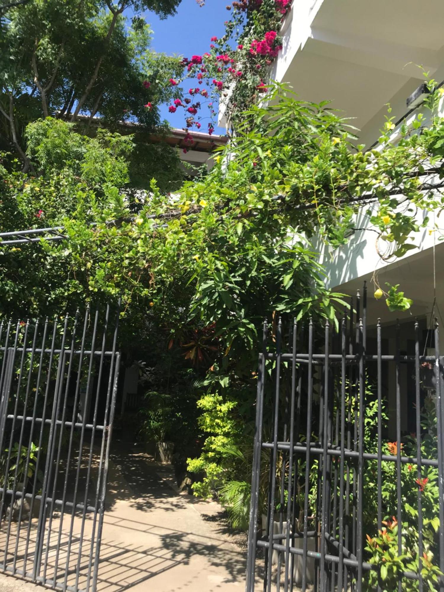 Unawatuna Beach Bungalow - Dış mekan fotoğraf