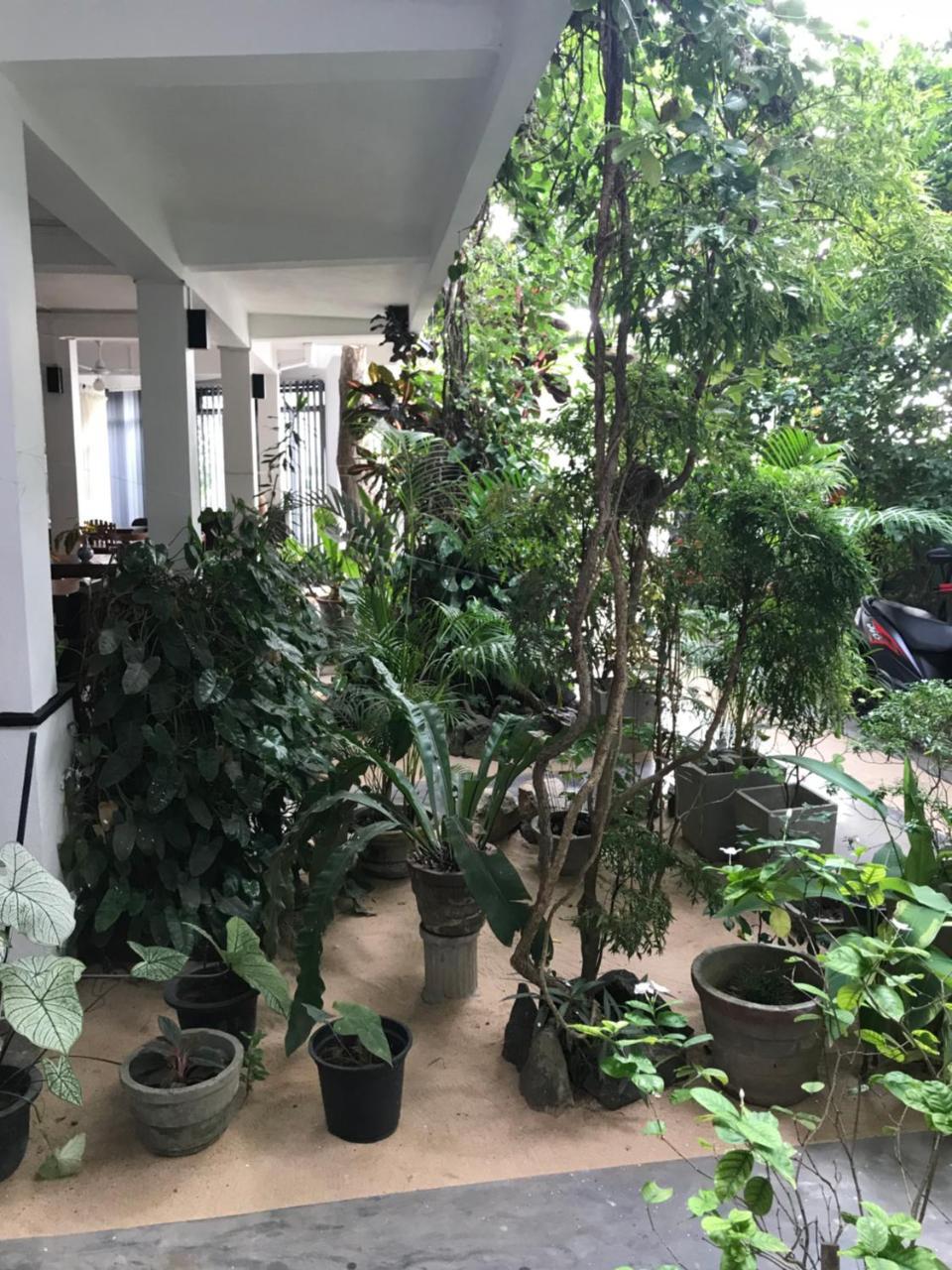 Unawatuna Beach Bungalow - Dış mekan fotoğraf